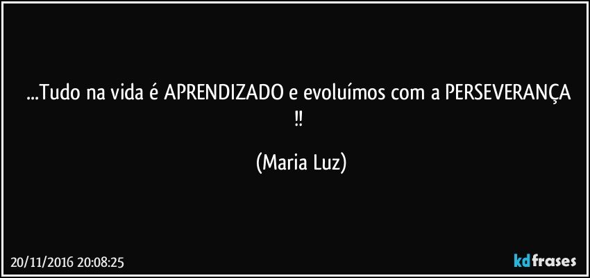 ...Tudo na vida é APRENDIZADO  e evoluímos com a PERSEVERANÇA  !! (Maria Luz)