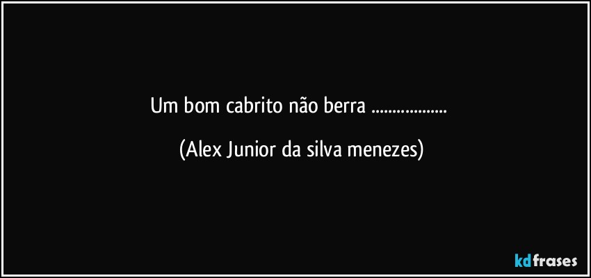 Um bom cabrito não berra ... (Alex Junior da silva menezes)