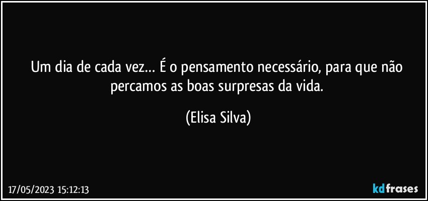 Um dia de cada vez… É o pensamento necessário, para que não percamos as boas surpresas da vida. (Elisa Silva)