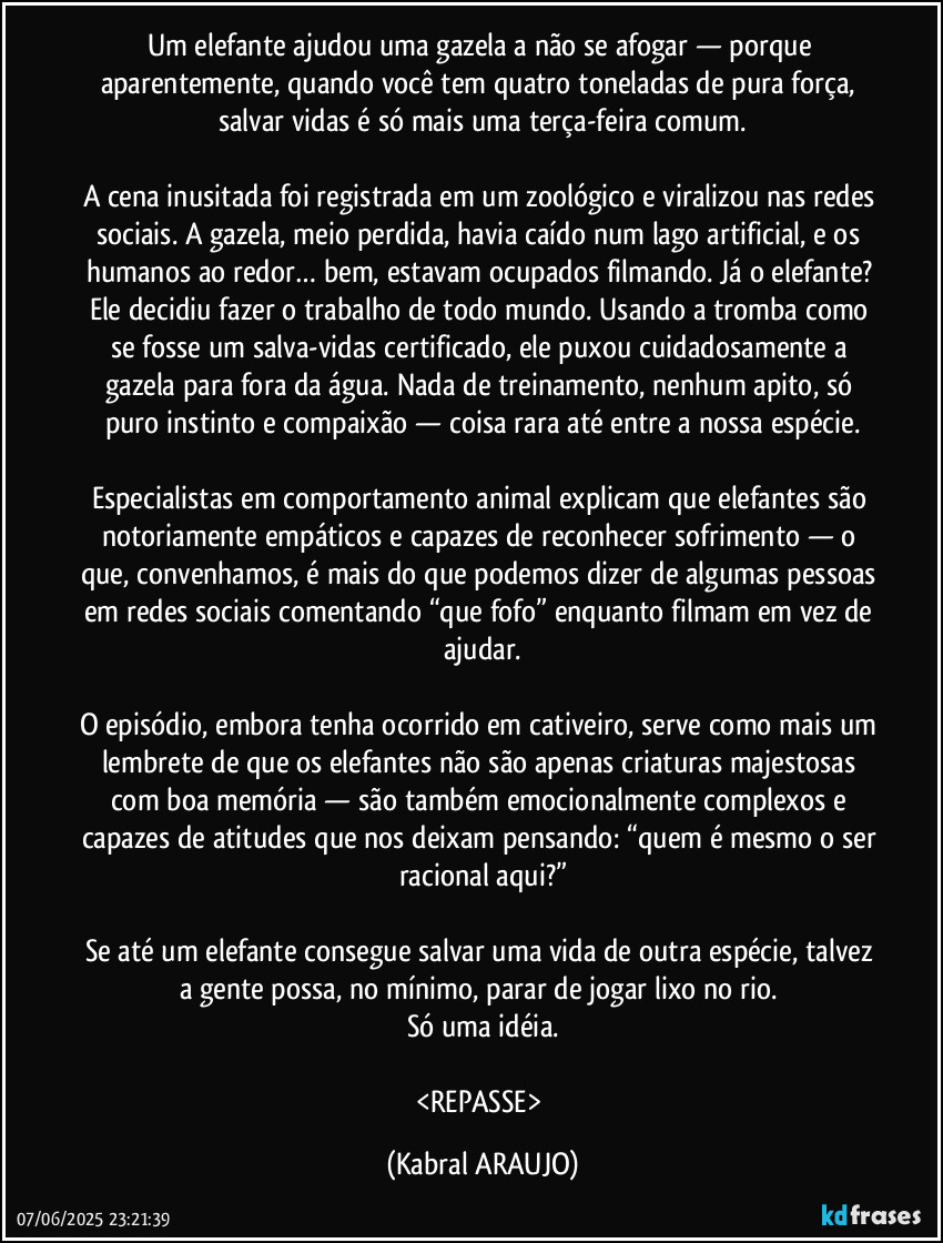 Um elefante ajudou uma gazela a não se afogar — porque aparentemente, quando você tem quatro toneladas de pura força, salvar vidas é só mais uma terça-feira comum.

A cena inusitada foi registrada em um zoológico e viralizou nas redes sociais. A gazela, meio perdida, havia caído num lago artificial, e os humanos ao redor… bem, estavam ocupados filmando. Já o elefante? Ele decidiu fazer o trabalho de todo mundo. Usando a tromba como se fosse um salva-vidas certificado, ele puxou cuidadosamente a gazela para fora da água. Nada de treinamento, nenhum apito, só puro instinto e compaixão — coisa rara até entre a nossa espécie.

Especialistas em comportamento animal explicam que elefantes são notoriamente empáticos e capazes de reconhecer sofrimento — o que, convenhamos, é mais do que podemos dizer de algumas pessoas em redes sociais comentando “que fofo” enquanto filmam em vez de ajudar.

O episódio, embora tenha ocorrido em cativeiro, serve como mais um lembrete de que os elefantes não são apenas criaturas majestosas com boa memória — são também emocionalmente complexos e capazes de atitudes que nos deixam pensando: “quem é mesmo o ser racional aqui?”

Se até um elefante consegue salvar uma vida de outra espécie, talvez a gente possa, no mínimo, parar de jogar lixo no rio. 
Só uma idéia.

<REPASSE> (KABRAL ARAUJO)