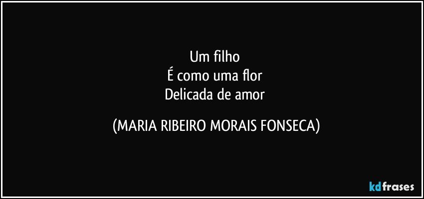 Um filho 
É como uma flor 
Delicada de amor (MARIA RIBEIRO MORAIS FONSECA)