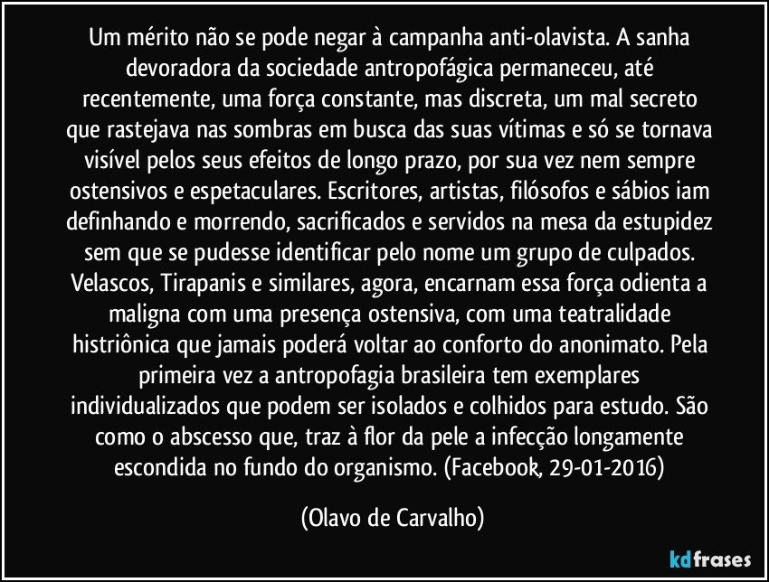 Um mérito não se pode negar à campanha anti-olavista. A sanha devoradora da sociedade antropofágica permaneceu, até recentemente, uma força constante, mas discreta, um mal secreto que rastejava nas sombras em busca das suas vítimas e só se tornava visível pelos seus efeitos de longo prazo, por sua vez nem sempre ostensivos e espetaculares. Escritores, artistas, filósofos e sábios iam definhando e morrendo, sacrificados e servidos na mesa da estupidez sem que se pudesse identificar pelo nome um grupo de culpados. Velascos, Tirapanis e similares, agora, encarnam essa força odienta a maligna com uma presença ostensiva, com uma teatralidade histriônica que jamais poderá voltar ao conforto do anonimato. Pela primeira vez a antropofagia brasileira tem exemplares individualizados que podem ser isolados e colhidos para estudo. São como o abscesso que, traz à flor da pele a infecção longamente escondida no fundo do organismo. (Facebook, 29-01-2016) (Olavo de Carvalho)