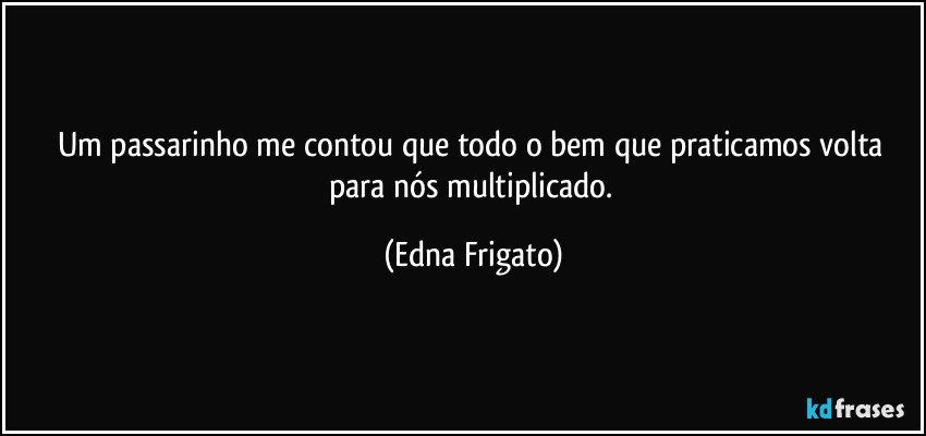 Um passarinho me contou que todo o bem que praticamos volta para nós multiplicado. (Edna Frigato)