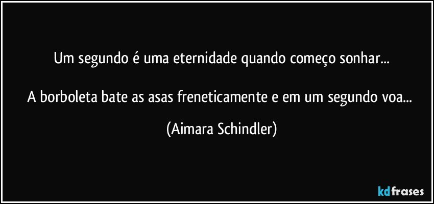 Um segundo é uma eternidade quando começo sonhar...

A borboleta bate as asas freneticamente e em um segundo voa... (Aimara Schindler)