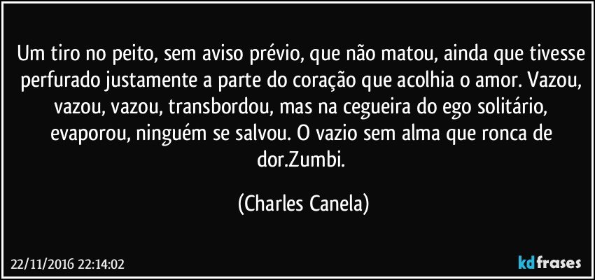 Um tiro no peito, sem aviso prévio, que não matou, ainda que tivesse perfurado justamente a parte do coração que acolhia o amor. Vazou, vazou, vazou, transbordou, mas na cegueira do ego solitário, evaporou, ninguém se salvou. O vazio sem alma que ronca de dor.Zumbi. (Charles Canela)