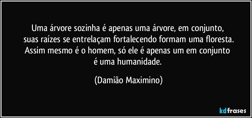 Uma árvore sozinha é apenas uma árvore, em conjunto, 
suas raízes se entrelaçam fortalecendo formam uma floresta.
Assim mesmo é o homem, só ele é apenas um em conjunto 
é uma humanidade. (Damião Maximino)