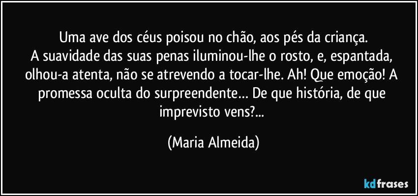 Uma ave dos céus poisou no chão, aos pés da criança.
A suavidade das suas penas iluminou-lhe o rosto, e, espantada, olhou-a atenta, não se atrevendo a tocar-lhe. Ah! Que emoção! A promessa oculta do surpreendente… De que história, de que imprevisto vens?... (Maria Almeida)
