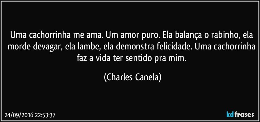 Uma cachorrinha me ama. Um amor puro. Ela balança o rabinho, ela morde devagar, ela lambe, ela demonstra felicidade. Uma cachorrinha faz a vida ter sentido pra mim. (Charles Canela)