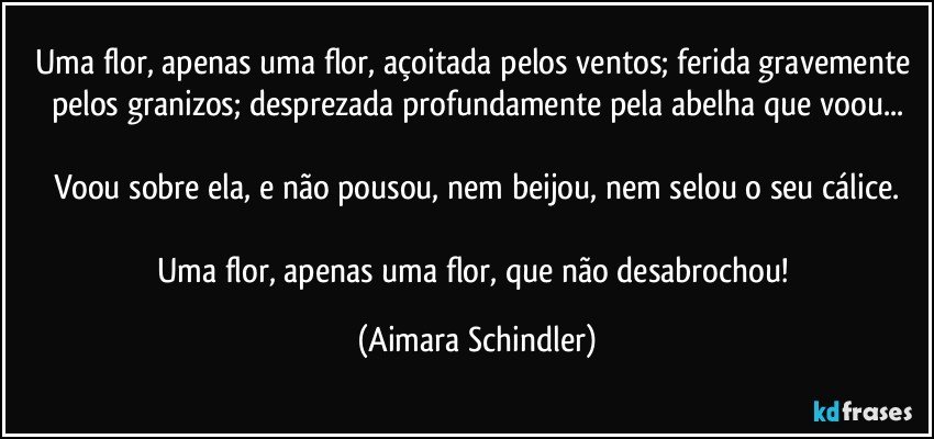 Uma flor, apenas uma flor, açoitada pelos ventos; ferida gravemente pelos granizos; desprezada profundamente pela abelha que voou...

Voou sobre ela, e não pousou, nem beijou, nem selou o seu cálice.

Uma flor, apenas uma flor, que não desabrochou! (Aimara Schindler)