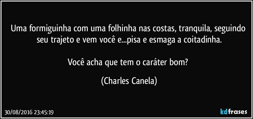 Uma formiguinha com uma folhinha nas costas, tranquila, seguindo seu trajeto e vem você e...pisa e esmaga a coitadinha.

Você acha que tem o caráter bom? (Charles Canela)