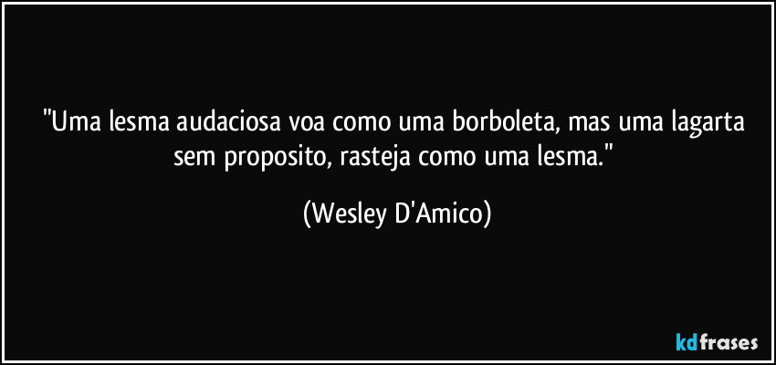 "Uma lesma audaciosa voa como uma borboleta, mas uma lagarta sem proposito, rasteja como uma lesma." (Wesley D'Amico)