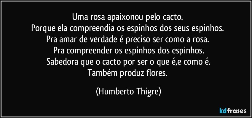 Uma rosa apaixonou pelo cacto. 
Porque ela compreendia os espinhos dos seus espinhos. 
Pra amar de verdade é preciso ser como a rosa. 
Pra compreender os espinhos dos espinhos.
Sabedora que o cacto por ser o que é,e como é.
Também produz flores. (Humberto Thigre)