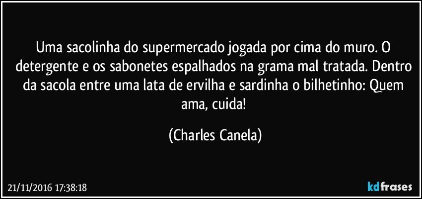 Uma sacolinha do supermercado jogada por cima do muro. O detergente e os sabonetes espalhados na grama mal tratada. Dentro da sacola entre uma lata de ervilha e sardinha o bilhetinho: Quem ama, cuida! (Charles Canela)