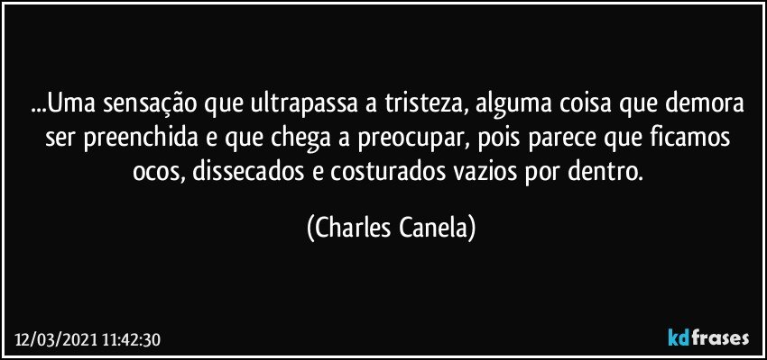 ...Uma sensação que ultrapassa a tristeza, alguma coisa que demora ser preenchida e que chega a preocupar, pois parece que ficamos ocos, dissecados e costurados vazios por dentro. (Charles Canela)