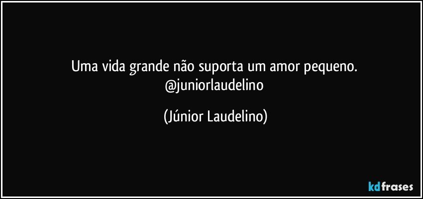 Uma vida grande não suporta um amor pequeno. 
@juniorlaudelino (Júnior Laudelino)