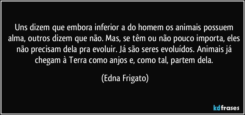 Uns dizem que embora inferior a do homem os animais possuem alma, outros dizem que não. Mas, se têm ou não pouco importa, eles não precisam dela pra evoluir. Já são seres evoluídos. Animais já chegam à Terra como anjos e, como tal, partem dela. (Edna Frigato)