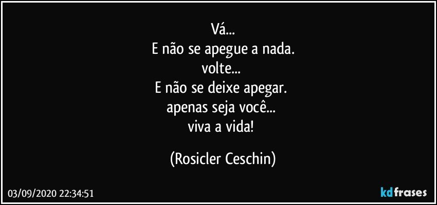 Vá...
E não se apegue a nada.
volte... 
E não se deixe apegar. 
apenas seja você... 
viva a vida! (Rosicler Ceschin)