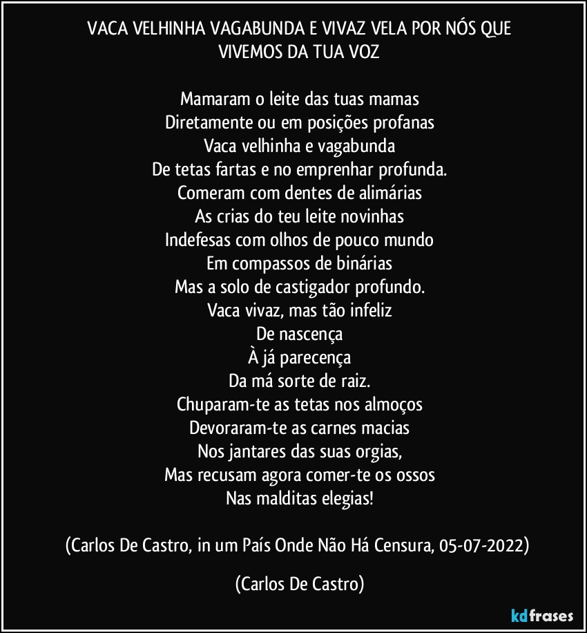⁠VACA VELHINHA VAGABUNDA E VIVAZ VELA POR NÓS QUE VIVEMOS DA TUA VOZ

Mamaram o leite das tuas mamas
Diretamente ou em posições profanas
Vaca velhinha e vagabunda
De tetas fartas e no emprenhar profunda.
Comeram com dentes de alimárias
As crias do teu leite novinhas
Indefesas com olhos de pouco mundo
Em compassos de binárias
Mas a solo de castigador profundo.
Vaca vivaz, mas tão infeliz
De nascença
À já parecença
Da má sorte de raiz.
Chuparam-te as tetas nos almoços
Devoraram-te as carnes macias
Nos jantares das suas orgias,
Mas recusam agora comer-te os ossos
Nas malditas elegias!

(Carlos De Castro, in um País Onde Não Há Censura, 05-07-2022) (Carlos De Castro)