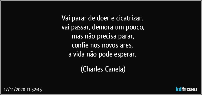 Vai parar de doer e cicatrizar, 
vai passar, demora um pouco,
 mas não precisa parar, 
confie nos novos ares, 
a vida não pode esperar. (Charles Canela)