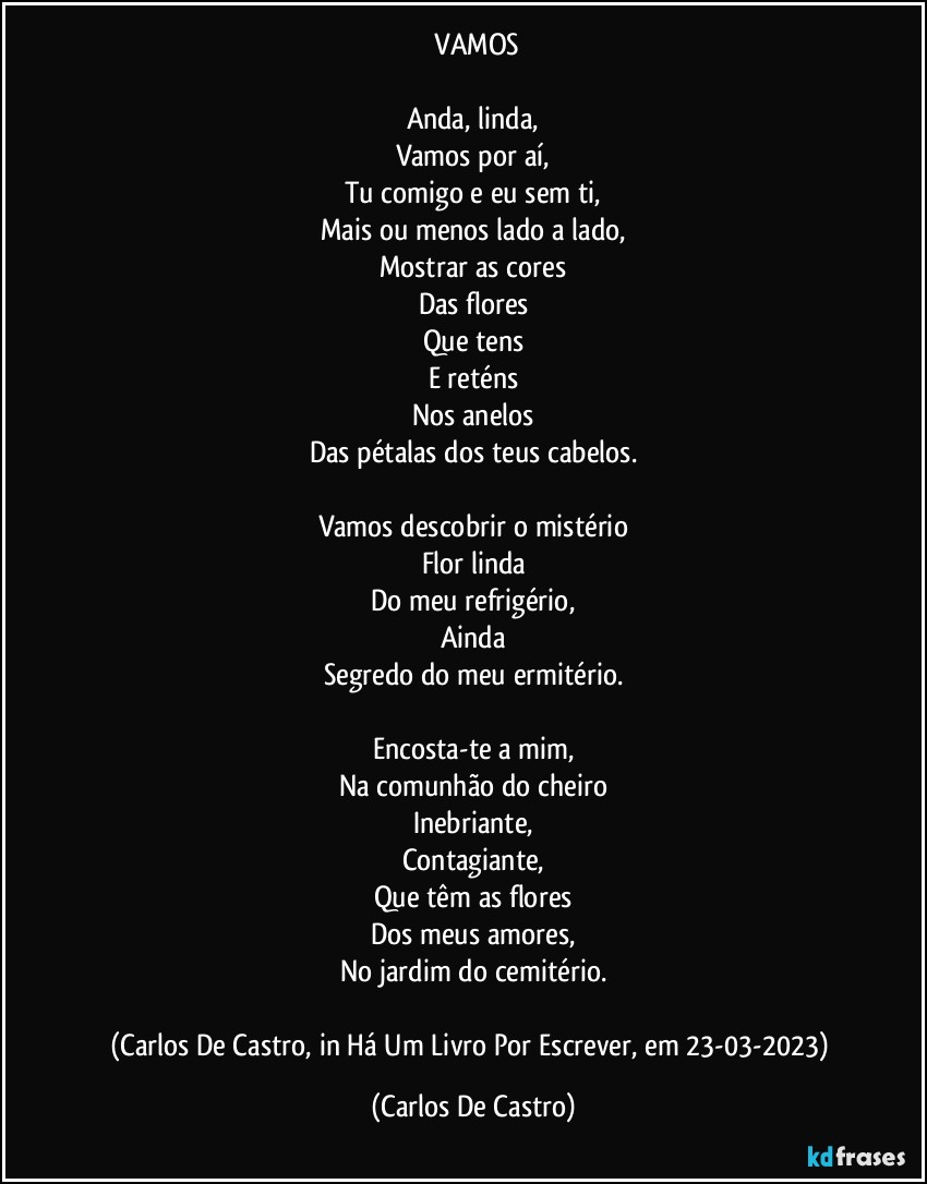 ⁠VAMOS

Anda, linda,
Vamos por aí,
Tu comigo e eu sem ti,
Mais ou menos lado a lado,
Mostrar as cores
Das flores
Que tens
E reténs
Nos anelos
Das pétalas dos teus cabelos.

Vamos descobrir o mistério
Flor linda
Do meu refrigério,
Ainda
Segredo do meu ermitério.

Encosta-te a mim,
Na comunhão do cheiro
Inebriante,
Contagiante,
Que têm as flores
Dos meus amores,
No jardim do cemitério.

(Carlos De Castro, in Há Um Livro Por Escrever, em 23-03-2023) (Carlos De Castro)