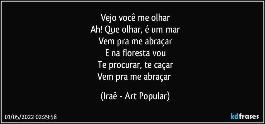 Vejo você me olhar
Ah! Que olhar, é um mar
Vem pra me abraçar
E na floresta vou
Te procurar, te caçar
Vem pra me abraçar (Iraê - Art Popular)