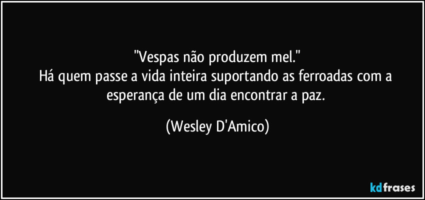 "Vespas não produzem mel."
Há quem passe a vida inteira suportando as ferroadas com a esperança de um dia encontrar a paz. (Wesley D'Amico)