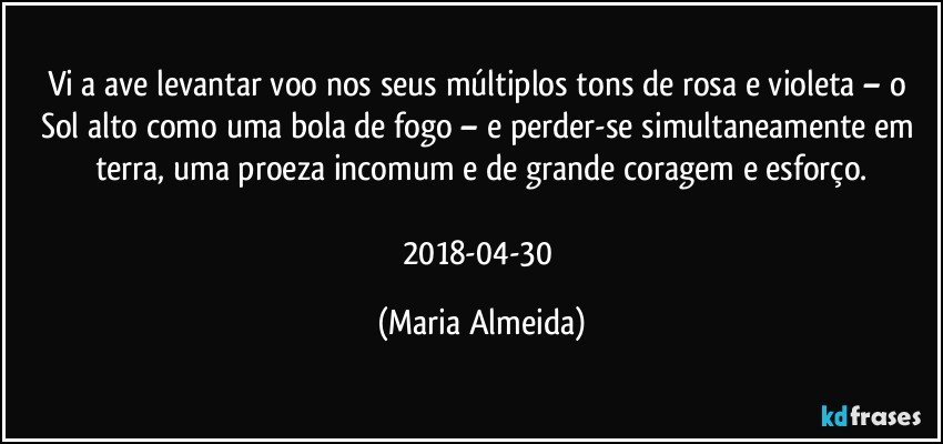 Vi a ave levantar voo nos seus múltiplos tons de rosa e violeta – o Sol alto como uma bola de fogo – e perder-se simultaneamente em terra, uma proeza incomum e de grande coragem e esforço.

2018-04-30 (Maria Almeida)