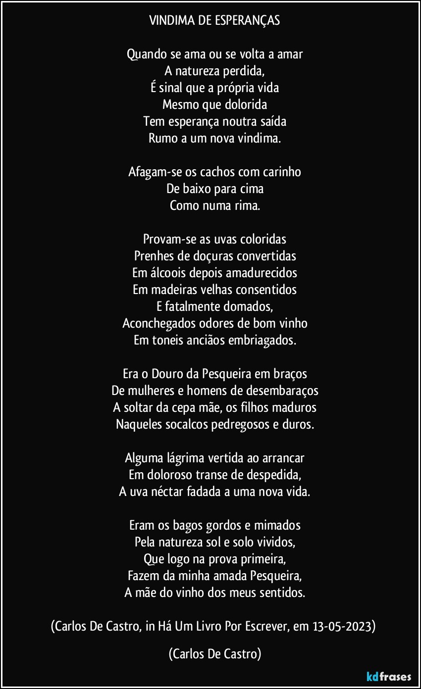 VINDIMA DE ESPERANÇAS

Quando se ama ou se volta a amar
A natureza perdida,
É sinal que a própria vida
Mesmo que dolorida
Tem esperança noutra saída
Rumo a um nova vindima.

Afagam-se os cachos com carinho
De baixo para cima
Como numa rima.

Provam-se as uvas coloridas
Prenhes de doçuras convertidas
Em álcoois depois amadurecidos
Em madeiras velhas consentidos
E fatalmente domados,
Aconchegados odores de bom vinho
Em toneis anciãos embriagados.

Era o Douro da Pesqueira em braços
De mulheres e homens de desembaraços
A soltar da cepa mãe, os filhos maduros
Naqueles socalcos pedregosos e duros.

Alguma lágrima vertida ao arrancar
Em doloroso transe de despedida,
A uva néctar fadada a uma nova vida.

Eram os bagos gordos e mimados
Pela natureza sol e solo vividos,
Que logo na prova primeira,
Fazem da minha amada Pesqueira,
A mãe do vinho dos meus sentidos.

(Carlos De Castro, in Há Um Livro Por Escrever, em 13-05-2023) (Carlos De Castro)