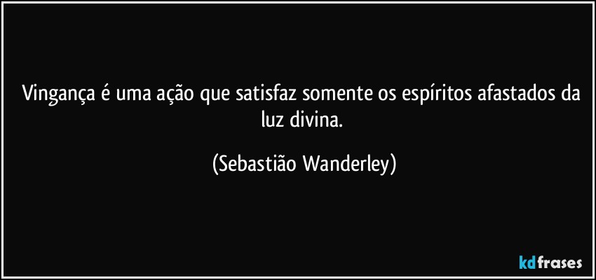 Vingança é uma ação que satisfaz somente os espíritos afastados da luz divina. (Sebastião Wanderley)