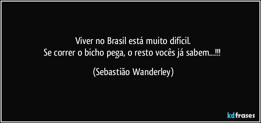 Viver no Brasil está muito difícil.
Se correr o bicho pega, o resto vocês já sabem...!!! (Sebastião Wanderley)