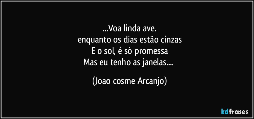 ...Voa linda ave.
enquanto os dias estão cinzas
E o sol, é sò promessa
Mas eu tenho as janelas... (Joao cosme Arcanjo)