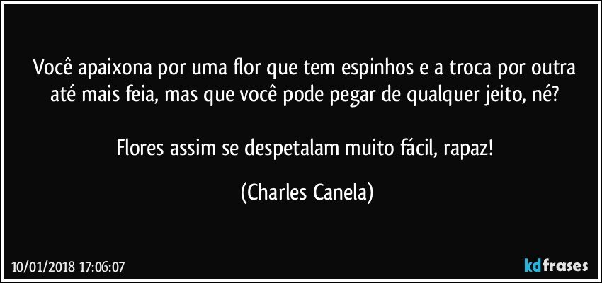 Você apaixona por uma flor que tem espinhos e a troca por outra até mais feia, mas que você pode pegar de qualquer jeito, né? 

Flores assim se despetalam muito fácil, rapaz! (Charles Canela)