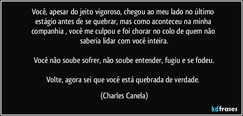 Você, apesar do jeito vigoroso, chegou ao meu lado no último estágio antes de se quebrar, mas como aconteceu na minha companhia , você me culpou e foi chorar no colo de quem não saberia lidar com você inteira.

Você não soube sofrer, não soube entender, fugiu e se fodeu.

Volte, agora sei que você está quebrada de verdade. (Charles Canela)