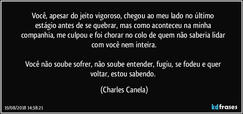 Você, apesar do jeito vigoroso, chegou ao meu lado no último estágio antes de se quebrar, mas como aconteceu na minha companhia, me culpou e foi chorar no colo de quem não saberia lidar com você nem inteira.

Você não soube sofrer, não soube entender, fugiu, se fodeu e quer voltar, estou sabendo. (Charles Canela)