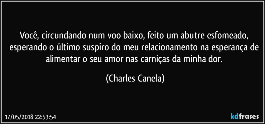 Você, circundando num voo baixo, feito um abutre esfomeado, esperando o último suspiro do meu relacionamento na esperança de alimentar o seu amor nas carniças da minha dor. (Charles Canela)