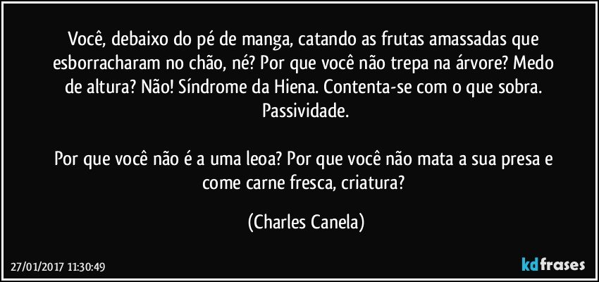 Você, debaixo do pé de manga, catando as frutas amassadas que esborracharam no chão, né? Por que você não trepa na árvore? Medo de altura? Não! Síndrome da Hiena. Contenta-se com o que sobra. Passividade.

Por que você não é a uma leoa? Por que você não mata a sua presa e come carne fresca, criatura? (Charles Canela)