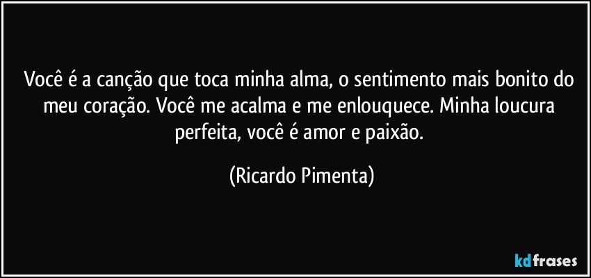 Você é a canção que toca minha alma, o sentimento mais bonito do meu coração. Você me acalma e me enlouquece. Minha loucura perfeita, você é amor e paixão. (Ricardo Pimenta)