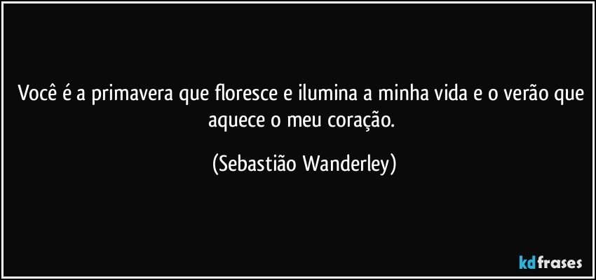 Você é a primavera que floresce e ilumina a minha vida e o verão que aquece o meu coração. (Sebastião Wanderley)