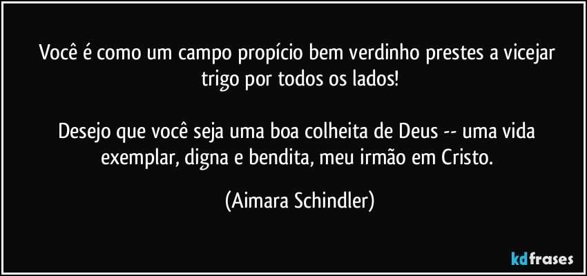 Você é como um campo propício bem verdinho prestes a vicejar trigo por todos os lados!

Desejo que você seja uma boa colheita de Deus -- uma vida exemplar, digna e bendita, meu irmão em Cristo. (Aimara Schindler)