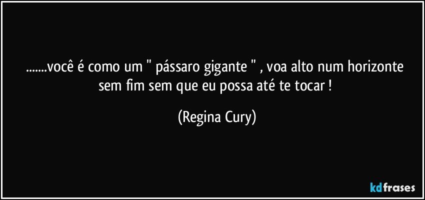 ...você é   como um  " pássaro gigante " , voa alto num horizonte sem fim sem que eu  possa  até  te  tocar ! (Regina Cury)