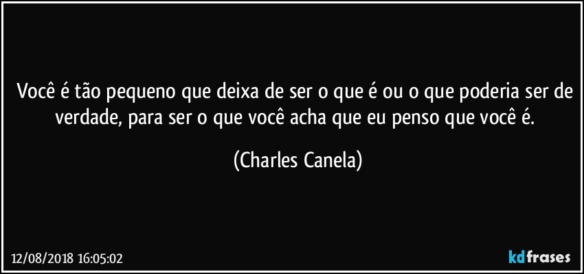 Você é tão pequeno que deixa de ser o que é ou o que poderia ser de verdade, para ser o que você acha que eu penso que você é. (Charles Canela)