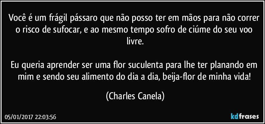 Você é um frágil pássaro que não posso ter em mãos para não correr o risco de sufocar, e ao mesmo tempo sofro de ciúme do seu voo livre.

Eu queria aprender ser uma flor suculenta para lhe ter planando em mim e sendo seu alimento do dia a dia, beija-flor de minha vida! (Charles Canela)