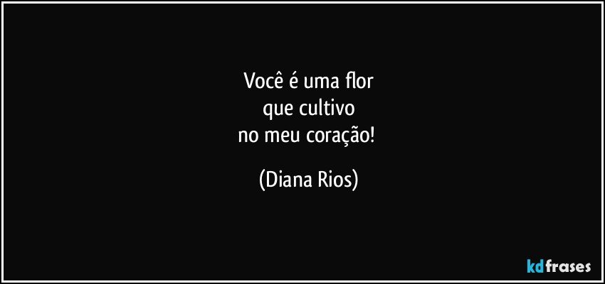 Você é uma flor
que cultivo
no meu coração! (Diana Rios)