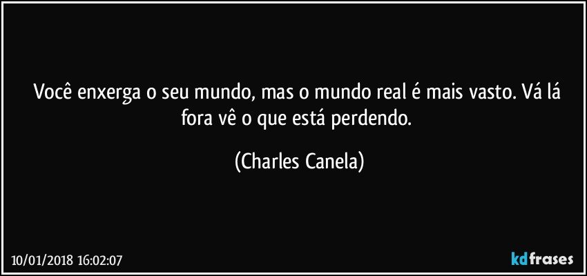 Você enxerga o seu mundo, mas o mundo real é mais vasto. Vá lá fora vê o que está perdendo. (Charles Canela)