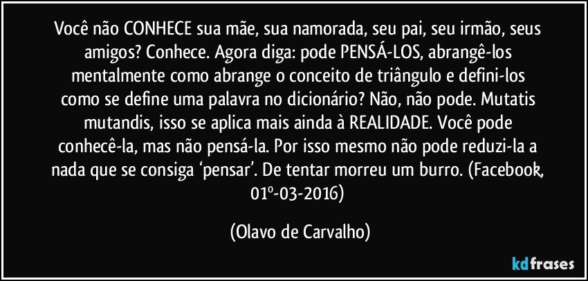 Você não CONHECE sua mãe, sua namorada, seu pai, seu irmão, seus amigos? Conhece. Agora diga: pode PENSÁ-LOS, abrangê-los mentalmente como abrange o conceito de triângulo e defini-los como se define uma palavra no dicionário? Não, não pode. Mutatis mutandis, isso se aplica mais ainda à REALIDADE. Você pode conhecê-la, mas não pensá-la. Por isso mesmo não pode reduzi-la a nada que se consiga ‘pensar’. De tentar morreu um burro. (Facebook, 01º-03-2016) (Olavo de Carvalho)