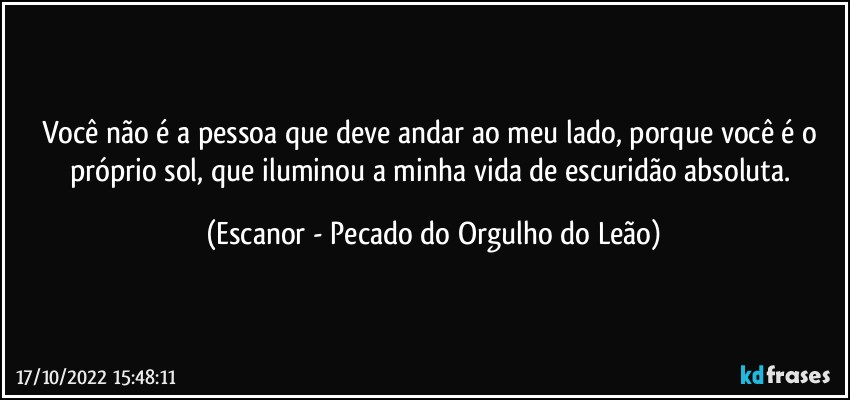 Você não é a pessoa que deve andar ao meu lado, porque você é o próprio sol, que iluminou a minha vida de escuridão absoluta. (Escanor - Pecado do Orgulho do Leão)