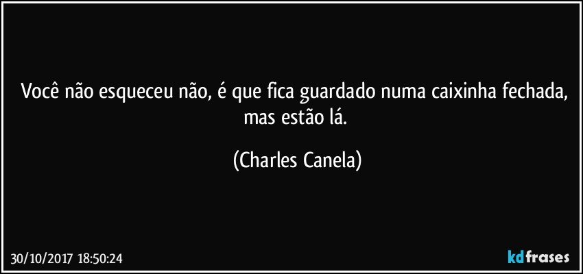 Você não esqueceu não, é que fica guardado numa caixinha fechada, mas estão lá. (Charles Canela)