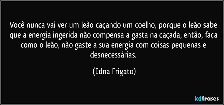 Você  nunca vai ver um leão caçando um coelho, porque o leão sabe que a energia ingerida não compensa a gasta na caçada, então, faça como o leão, não gaste a sua energia com coisas pequenas e desnecessárias. (Edna Frigato)