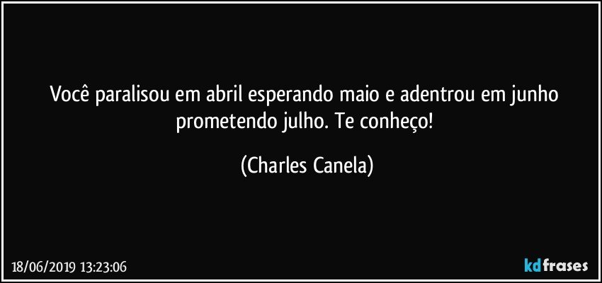 Você paralisou em abril esperando maio e adentrou em junho prometendo julho. Te conheço! (Charles Canela)