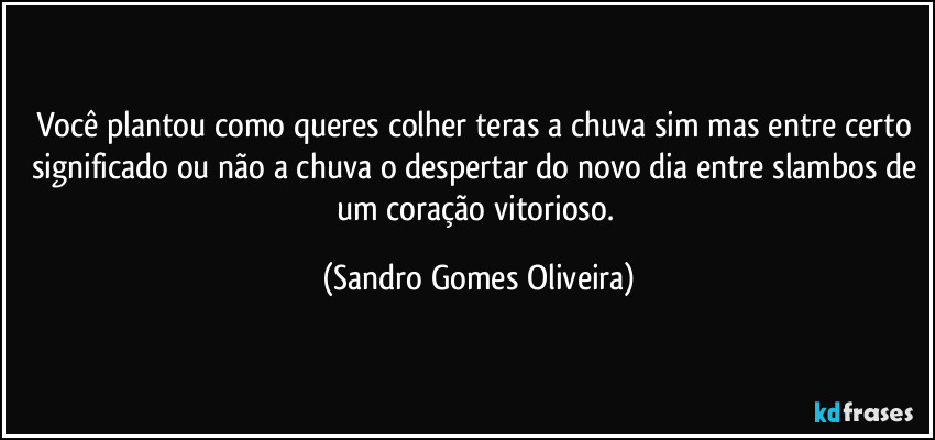 Você plantou como queres colher teras a chuva sim mas entre certo significado ou não a chuva o despertar do novo dia entre slambos de um coração vitorioso. (Sandro Gomes Oliveira)